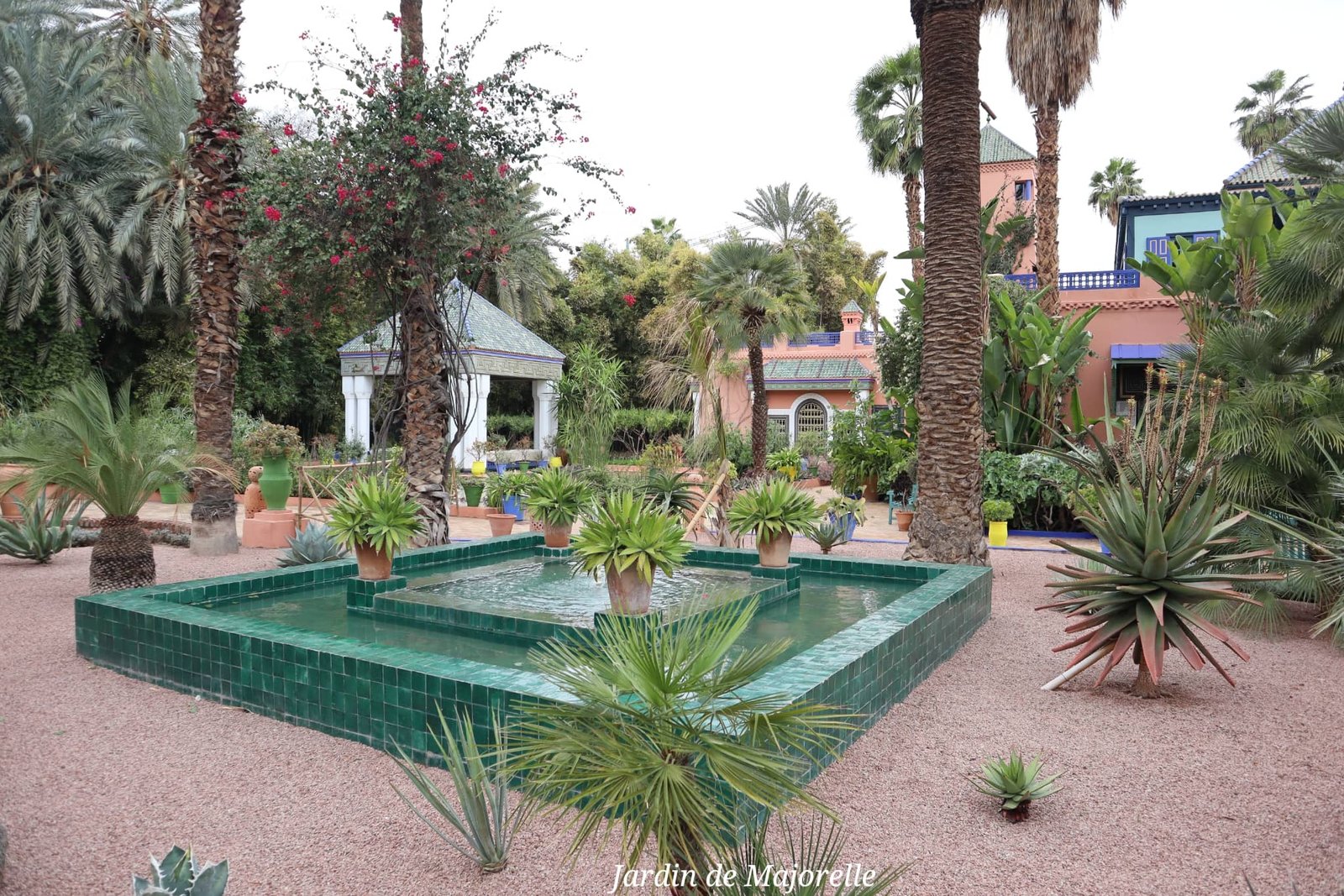Marrakech - jardin de Majorelle - pièce d'eau - voyage