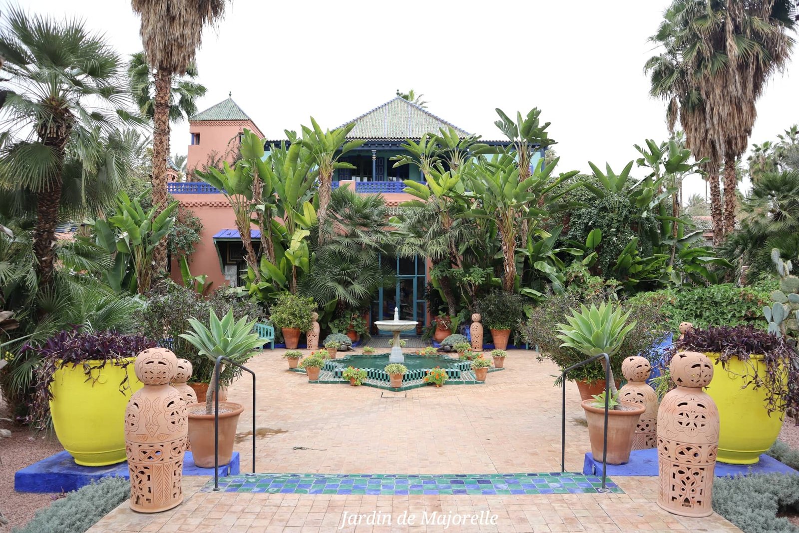 Marrakech - jardin de Majorelle - plantes vertes et batiments - voyage