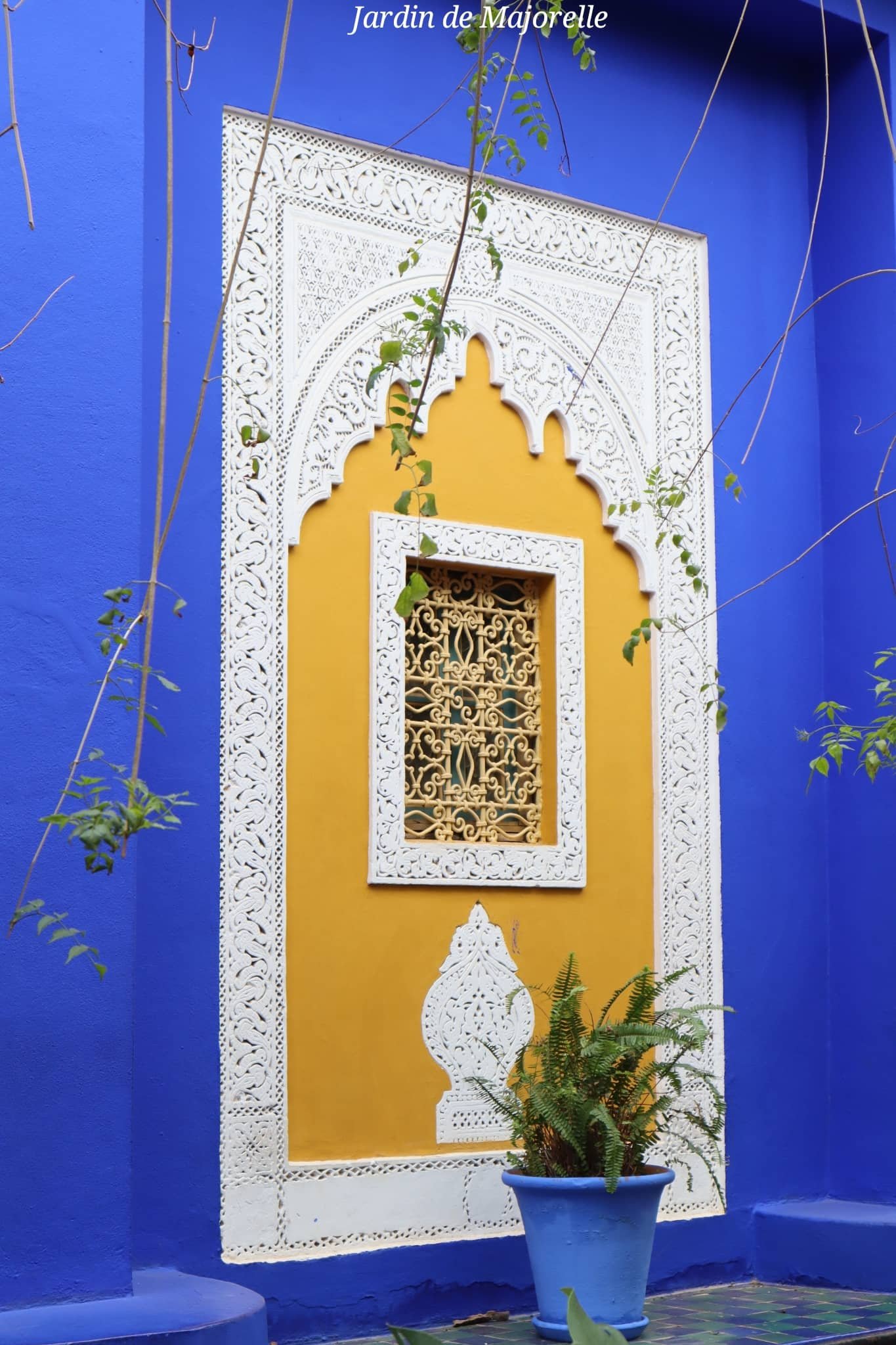 Marrakech - jardin de Majorelle - mur coloré bleu et jaune - voyage