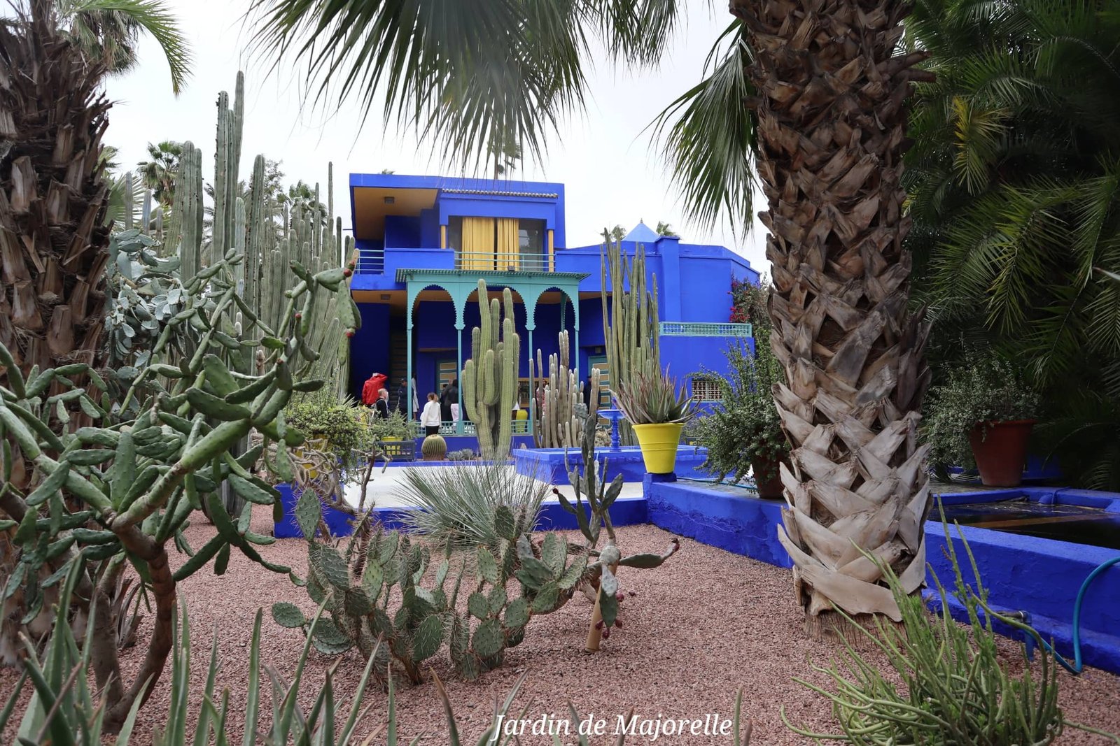 Marrakech - jardin de Majorelle - batiment bleu - voyage
