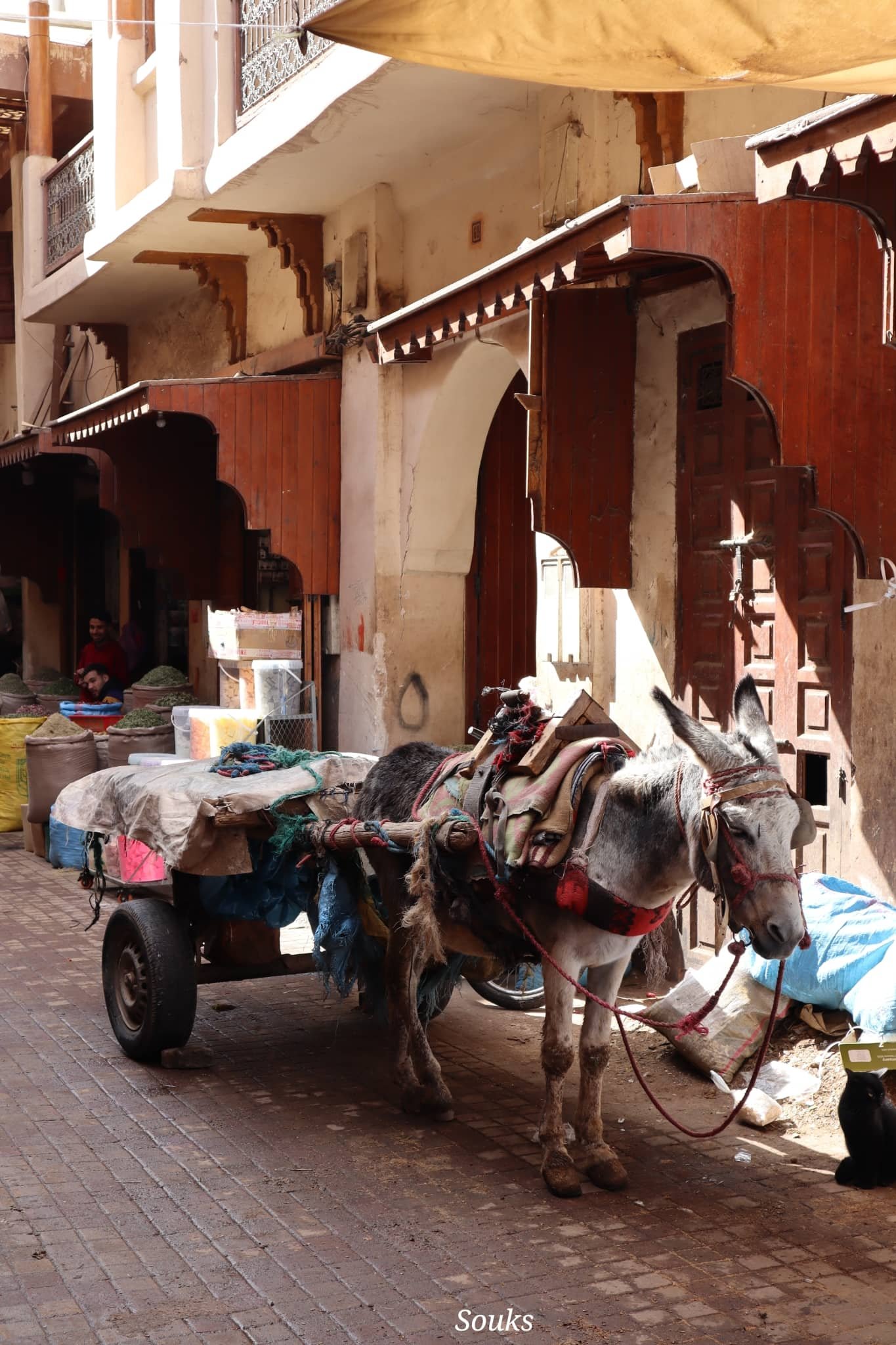 Marrakech - souks - âne - voyage