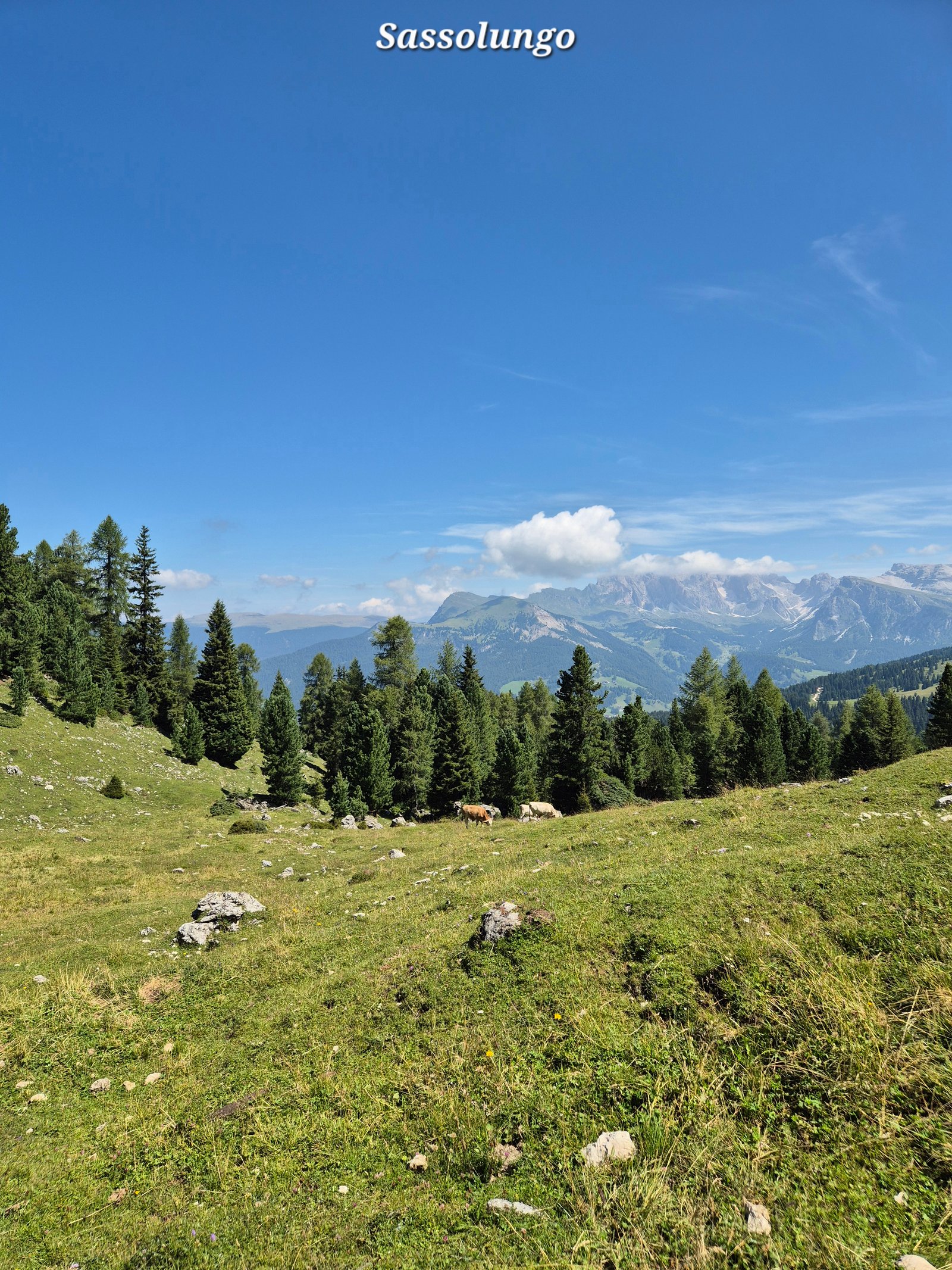 Sassolungo 12