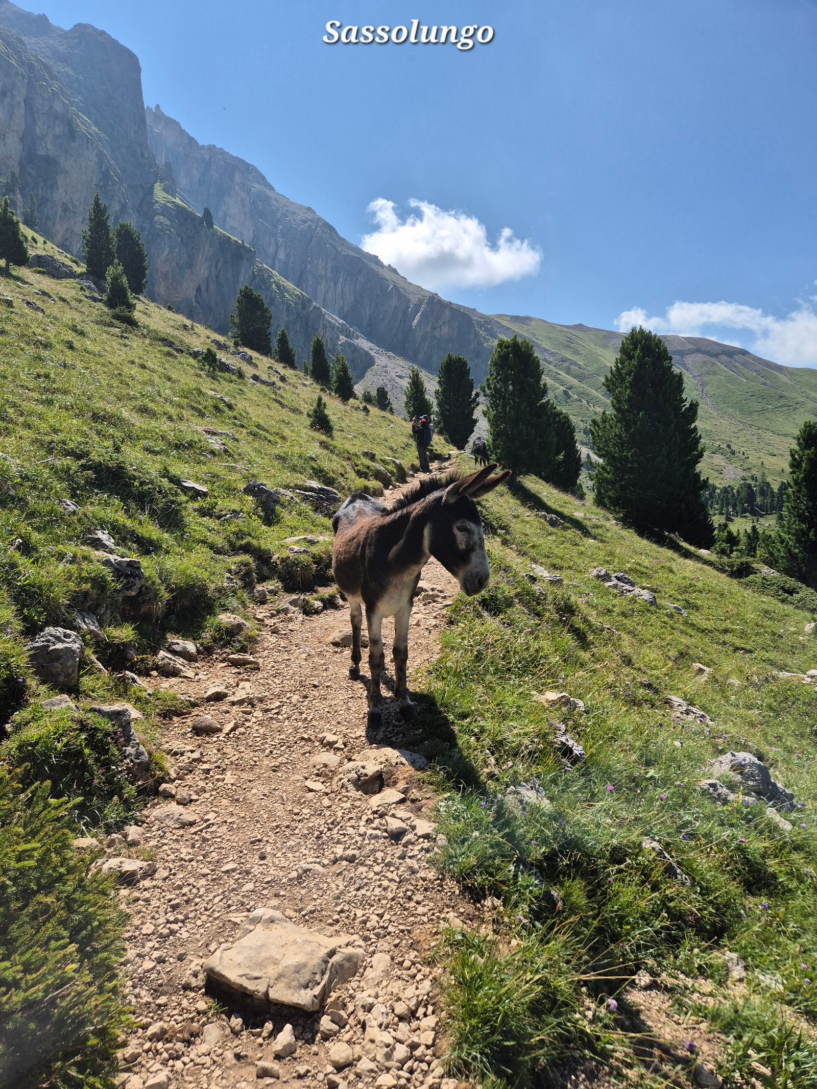 Sassolungo 14