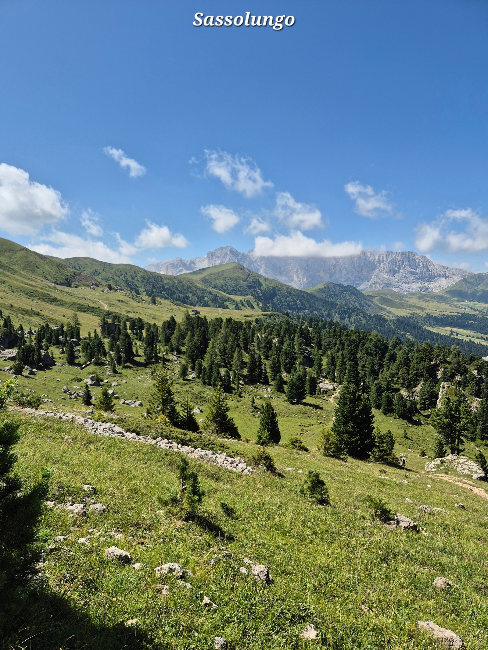 Sassolungo 15
