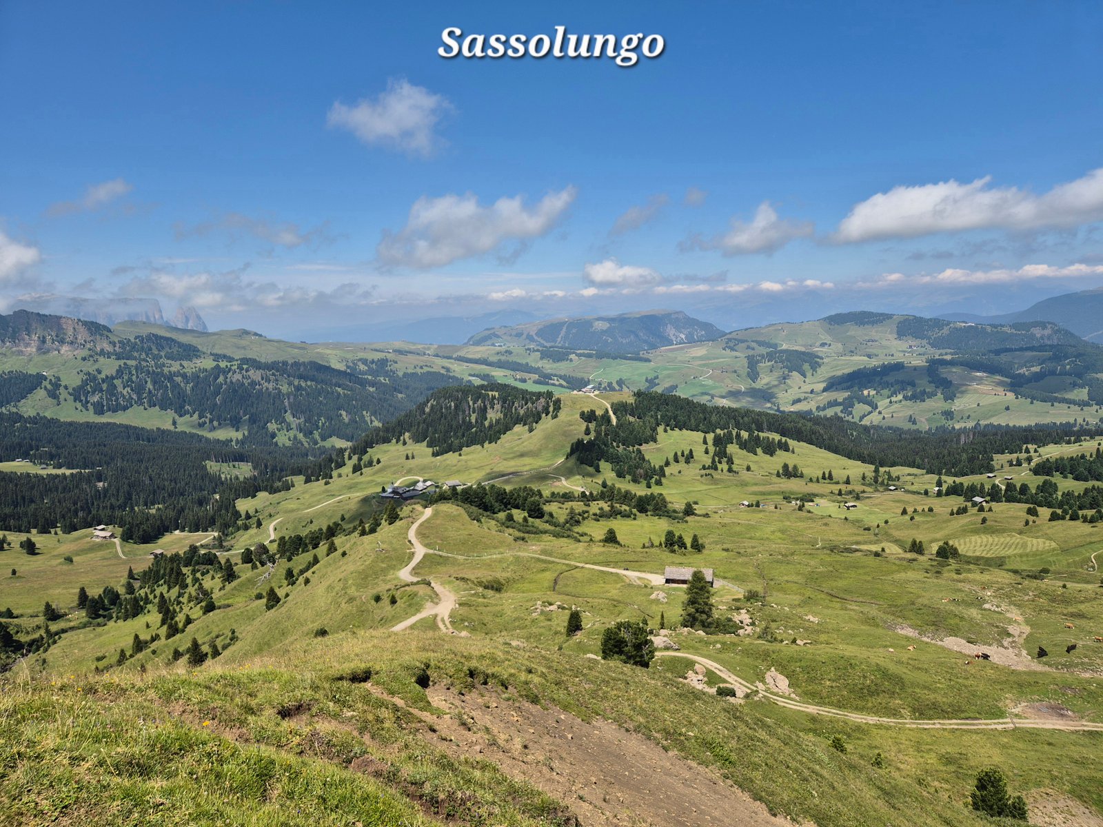Sassolungo 16