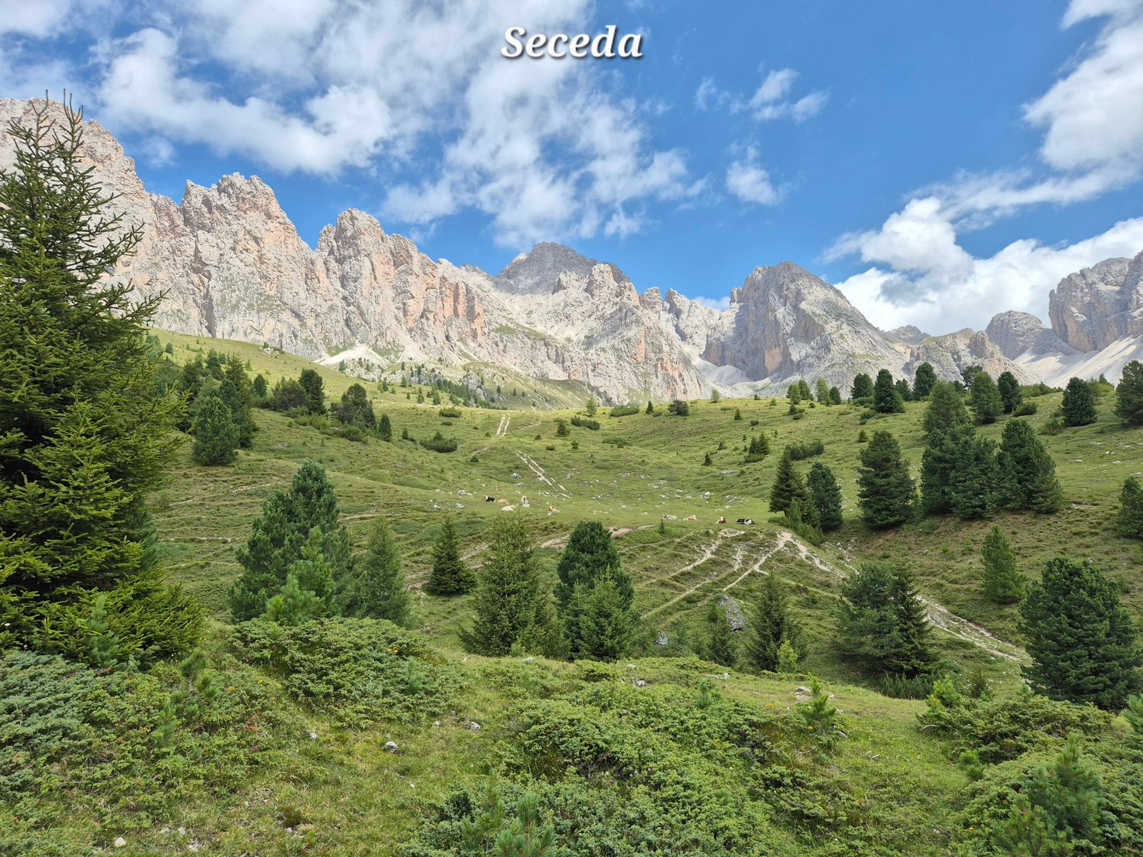 Seceda 21