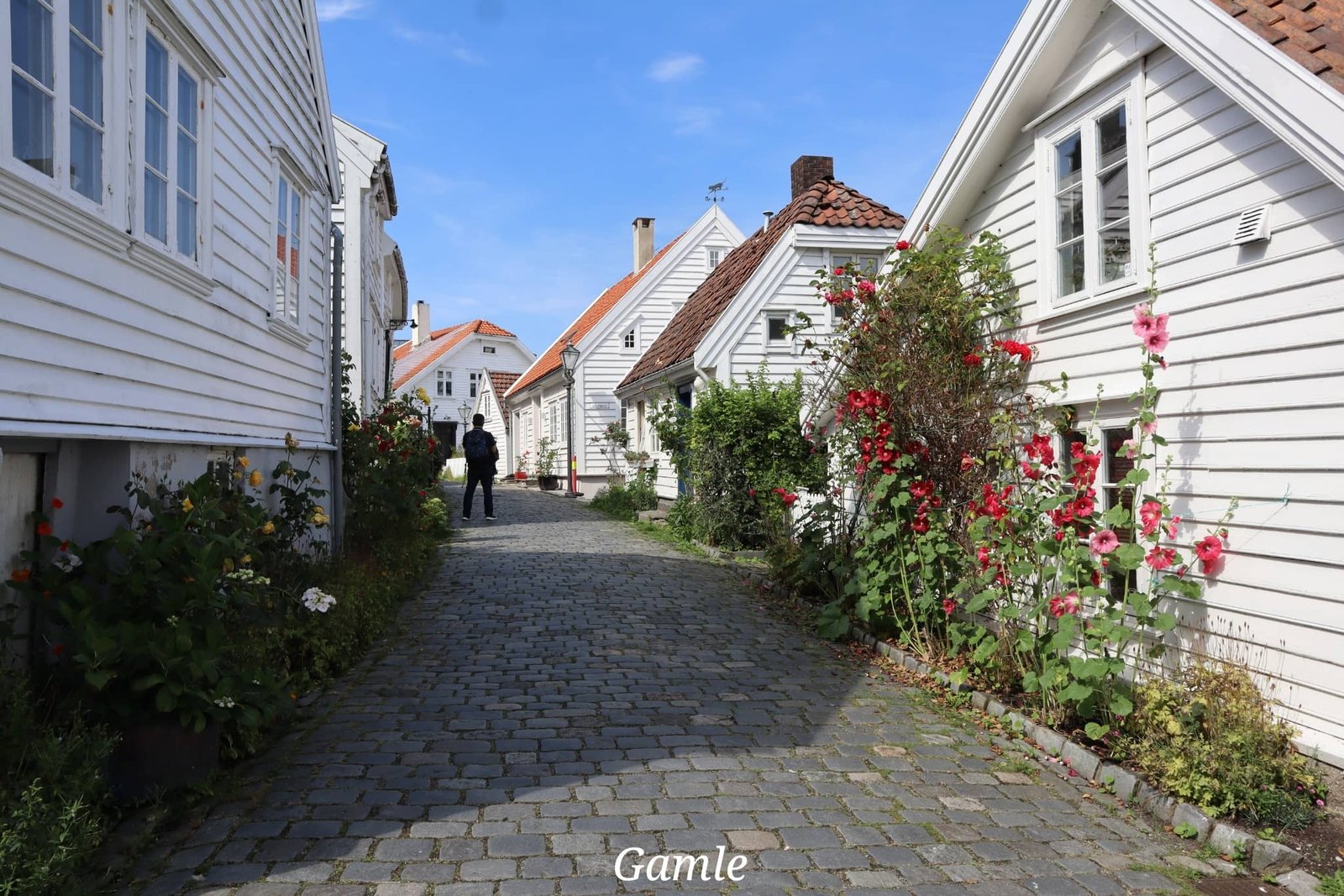 Stavanger - Gamle - ruelle - voyage - Norvège