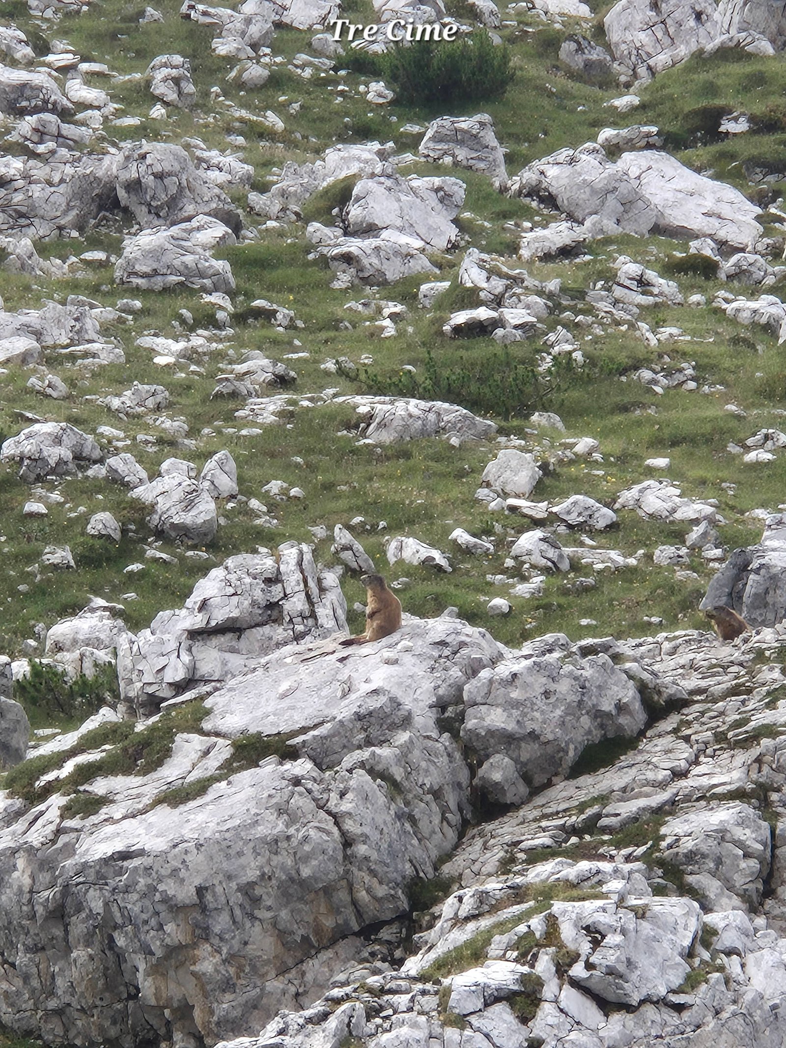 Tre Cime 4